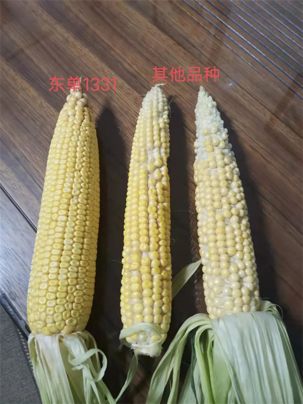 667a29b58c9b0 640.jpg